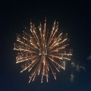 Meet your Posher, Hailey